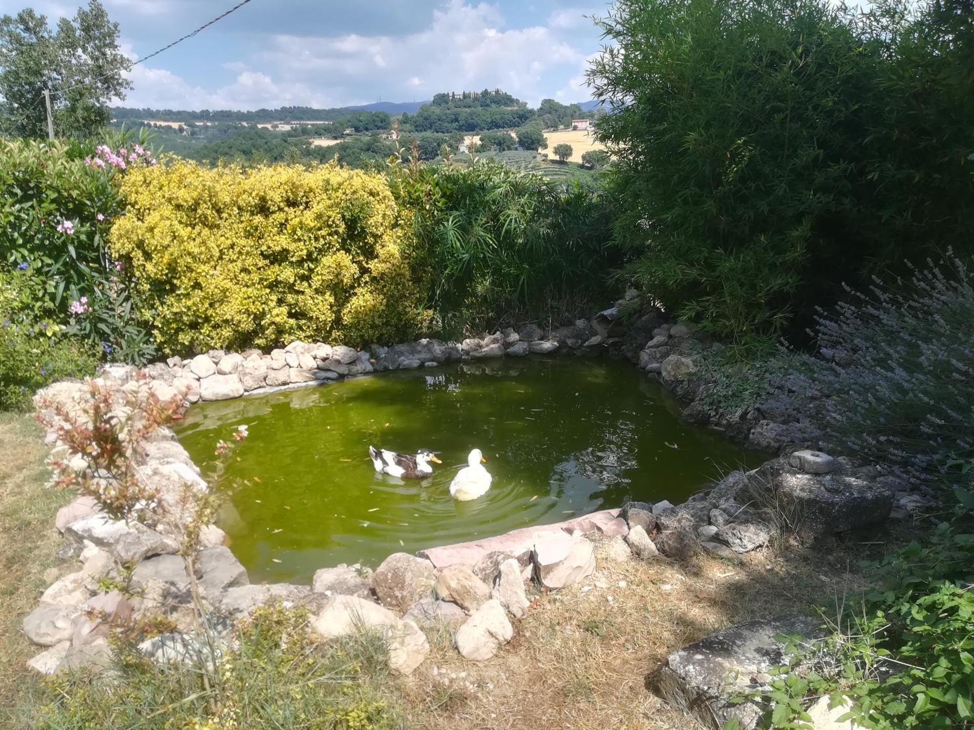 فيلا La Piccola Fattoria تودي المظهر الخارجي الصورة