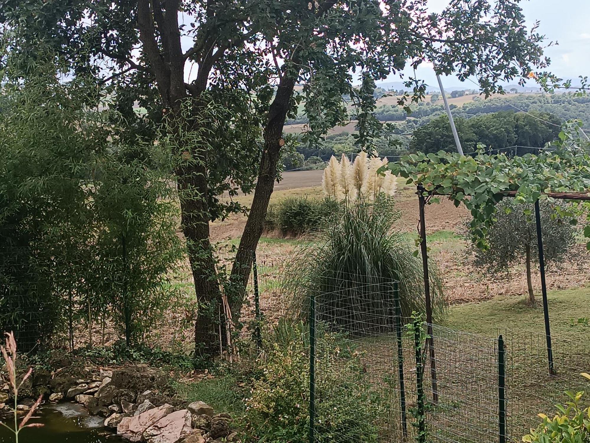 فيلا La Piccola Fattoria تودي المظهر الخارجي الصورة