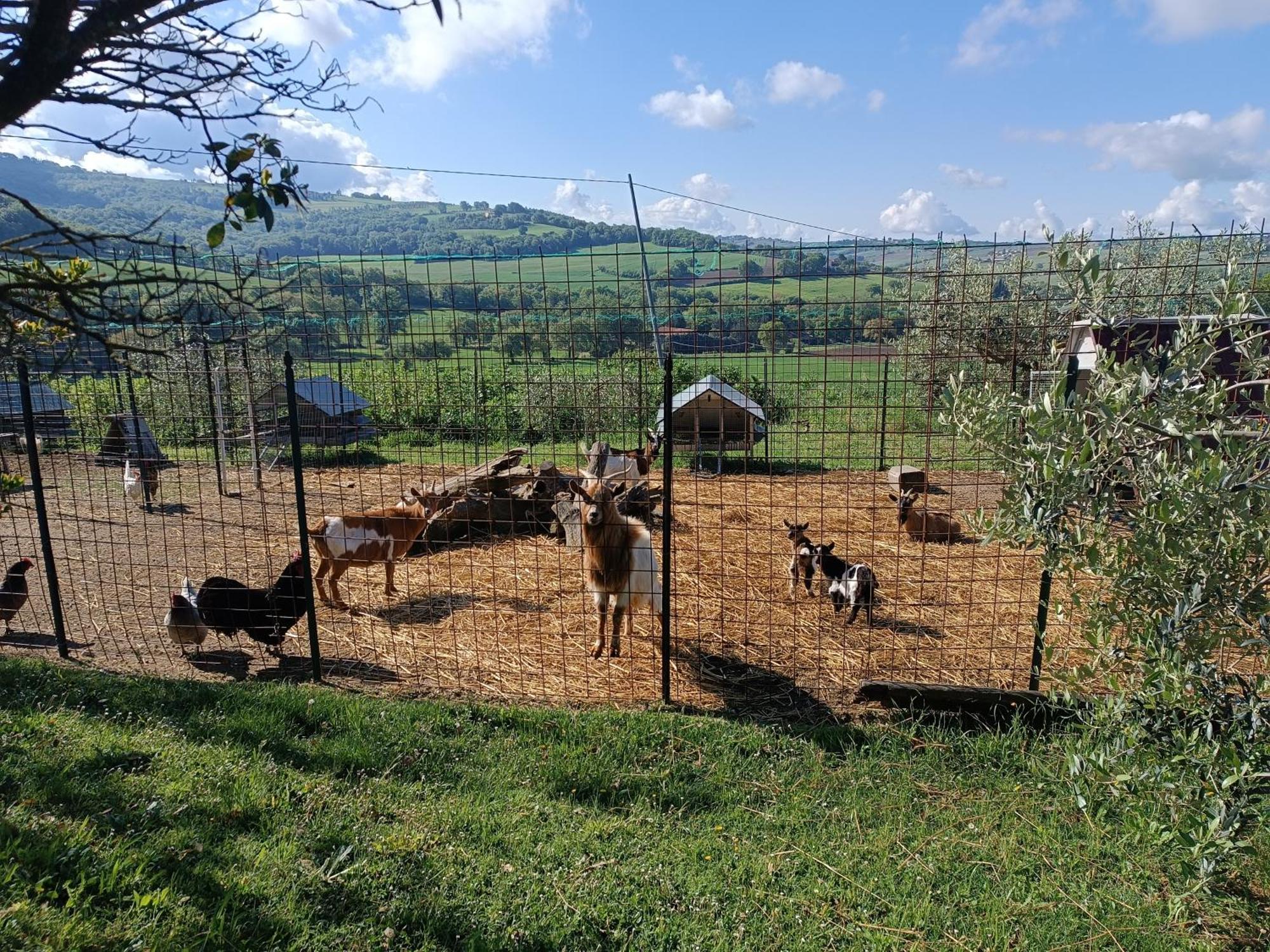 فيلا La Piccola Fattoria تودي المظهر الخارجي الصورة