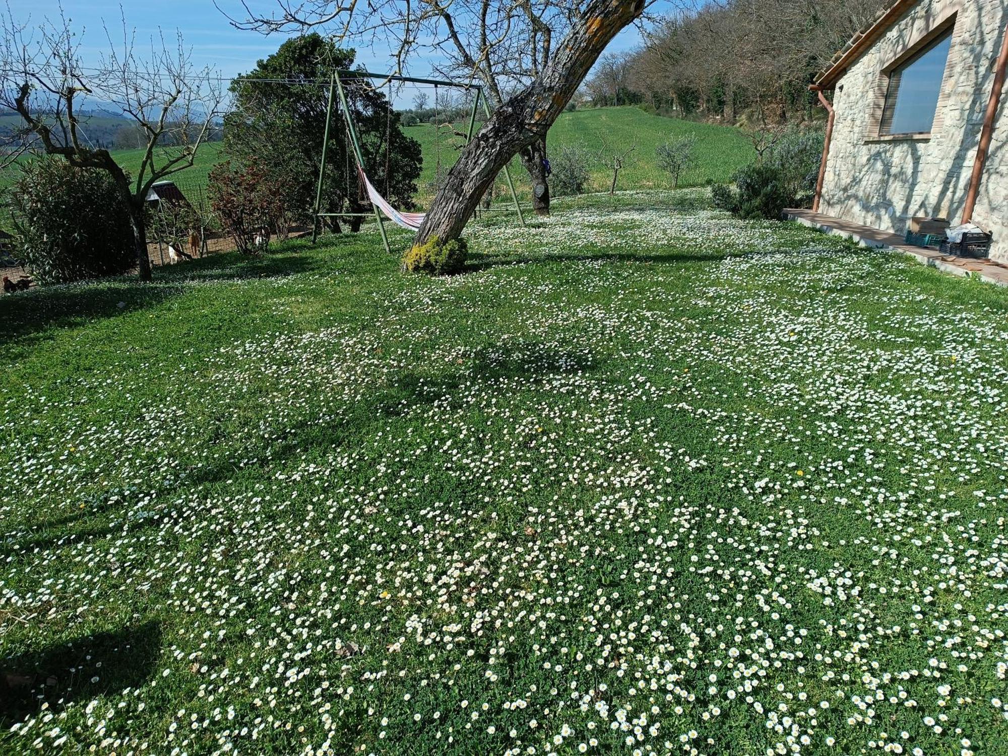 فيلا La Piccola Fattoria تودي المظهر الخارجي الصورة